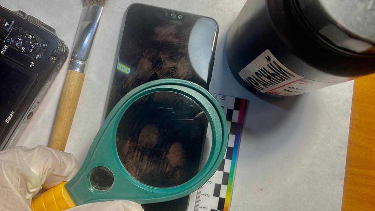 Главная картинка новости: Украла и выкинула: В Новороссийске женщина предстанет перед судом