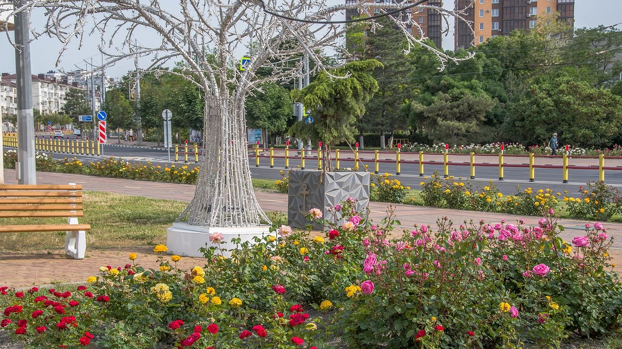 Главная картинка новости: Власти Новороссийска на уход и посадку цветников выделили 43 миллиона