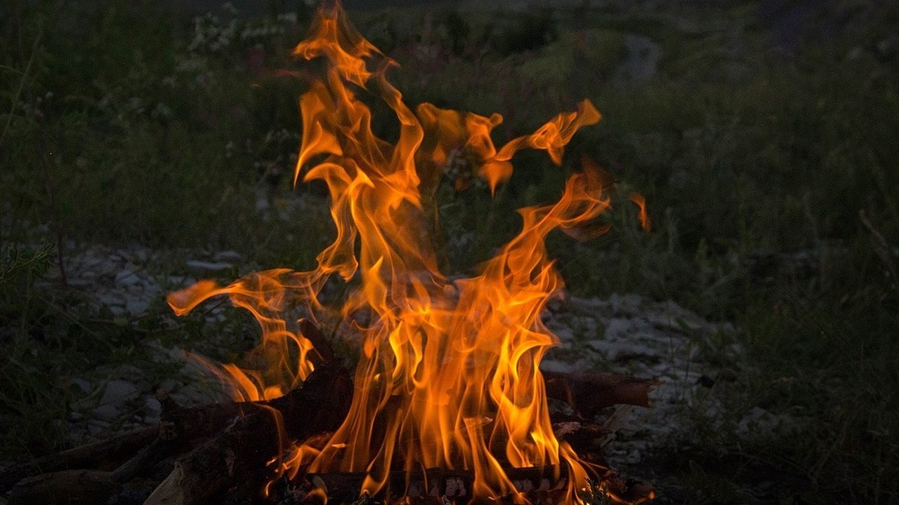 Главная картинка новости: С 29 апреля в Новороссийске введут особый противопожарный режим