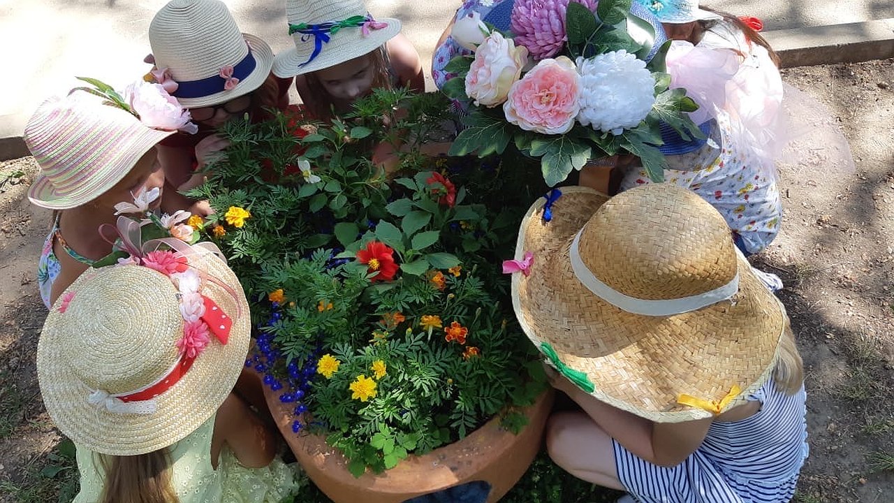 Главная картинка новости: В День защиты детей в Новороссийске пройдет «Фестиваль Панамок»