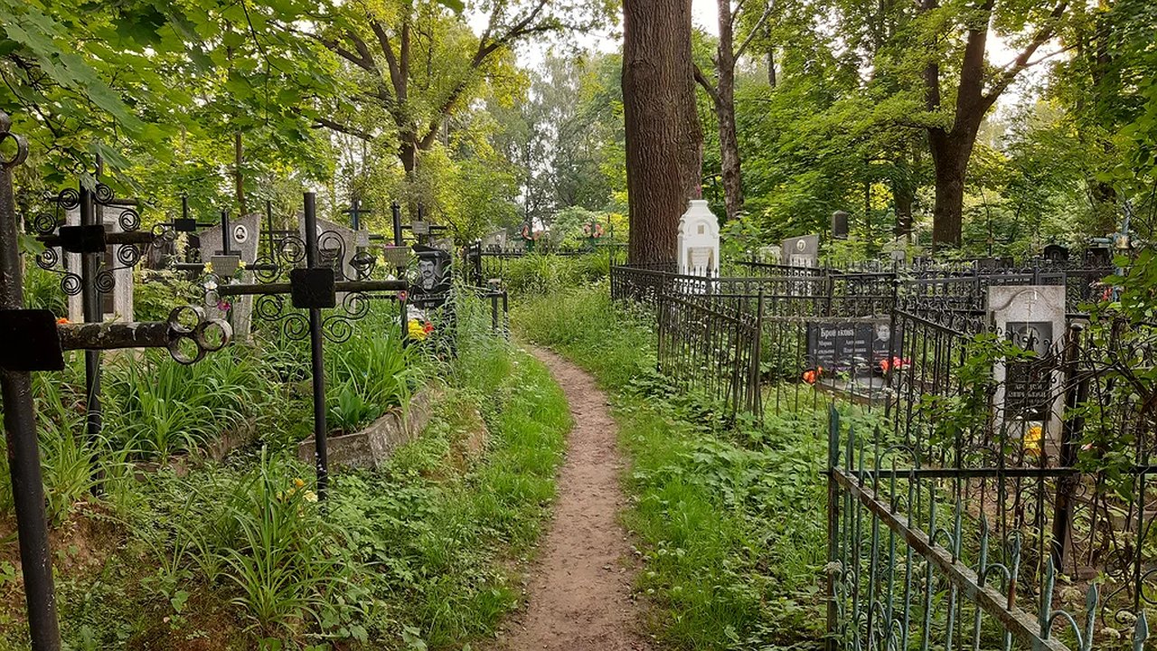 Главная картинка новости: В Новороссийске подготовят базу с данными захоронений за 850 тысяч