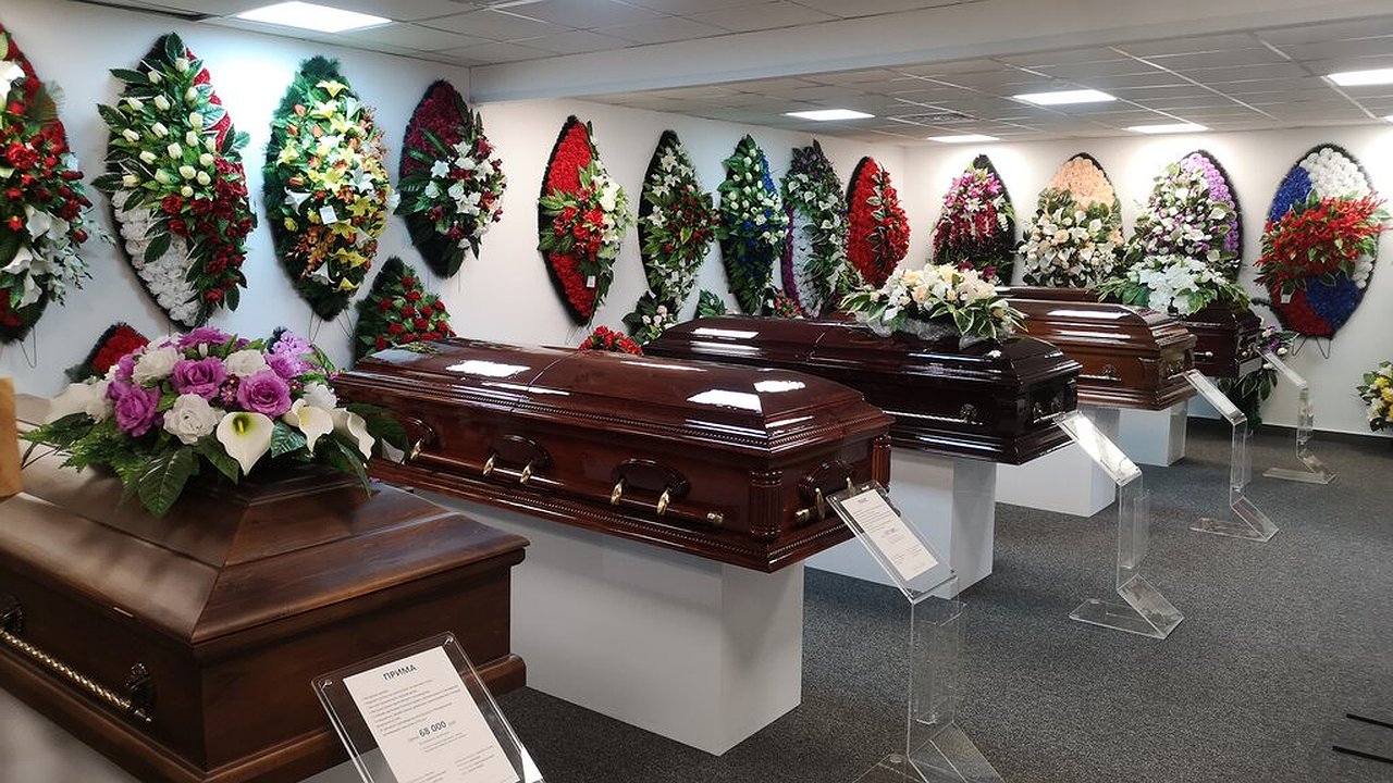 Главная картинка новости: Следком Кубани проведет проверку после выпуска шоу Малахова о «похоронной мафии»