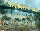 К 8 Марта вход в «Сафари-Парк» женщинам сделали бесплатным