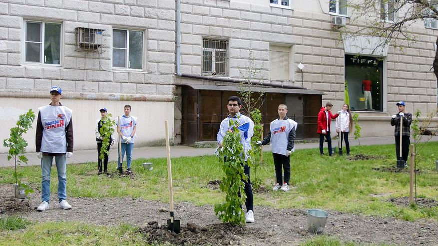 Главная картинка новости: В память о погибших в годы войны в Новороссийске высадили 10 кленов