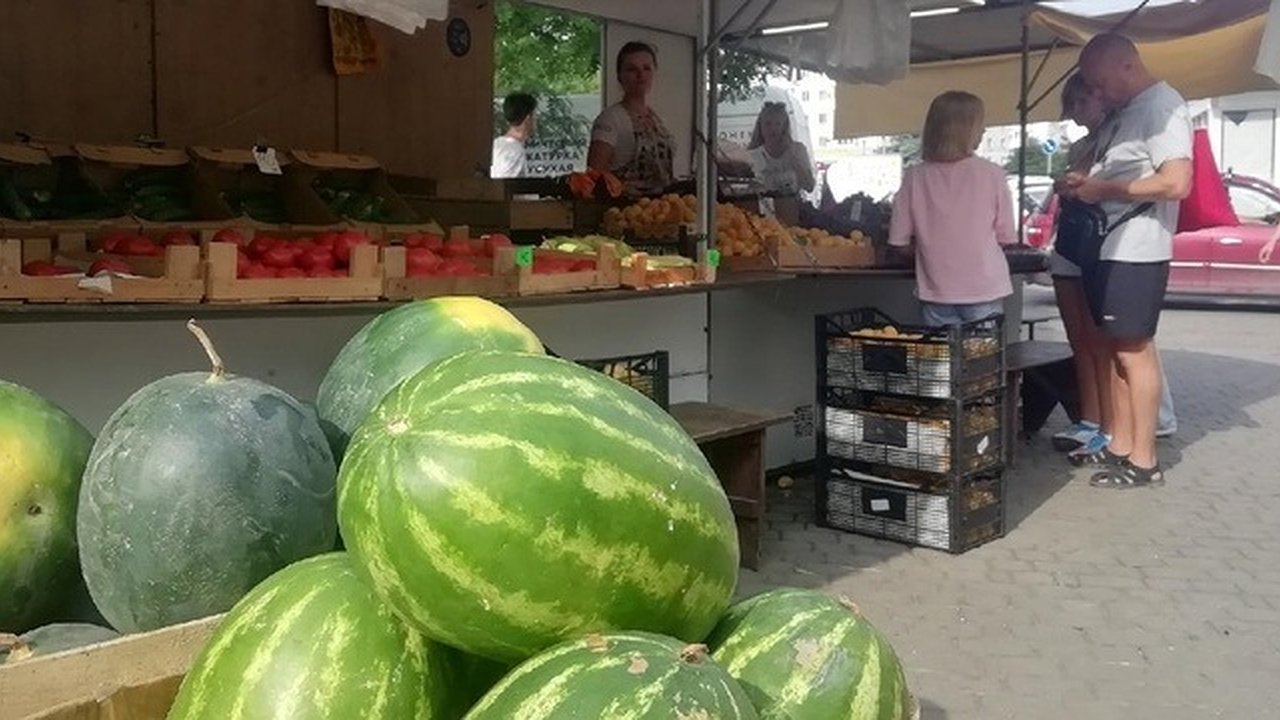 Главная картинка новости: Начался сезон арбузов. Сколько стоит полосатая ягода в Новороссийске ?