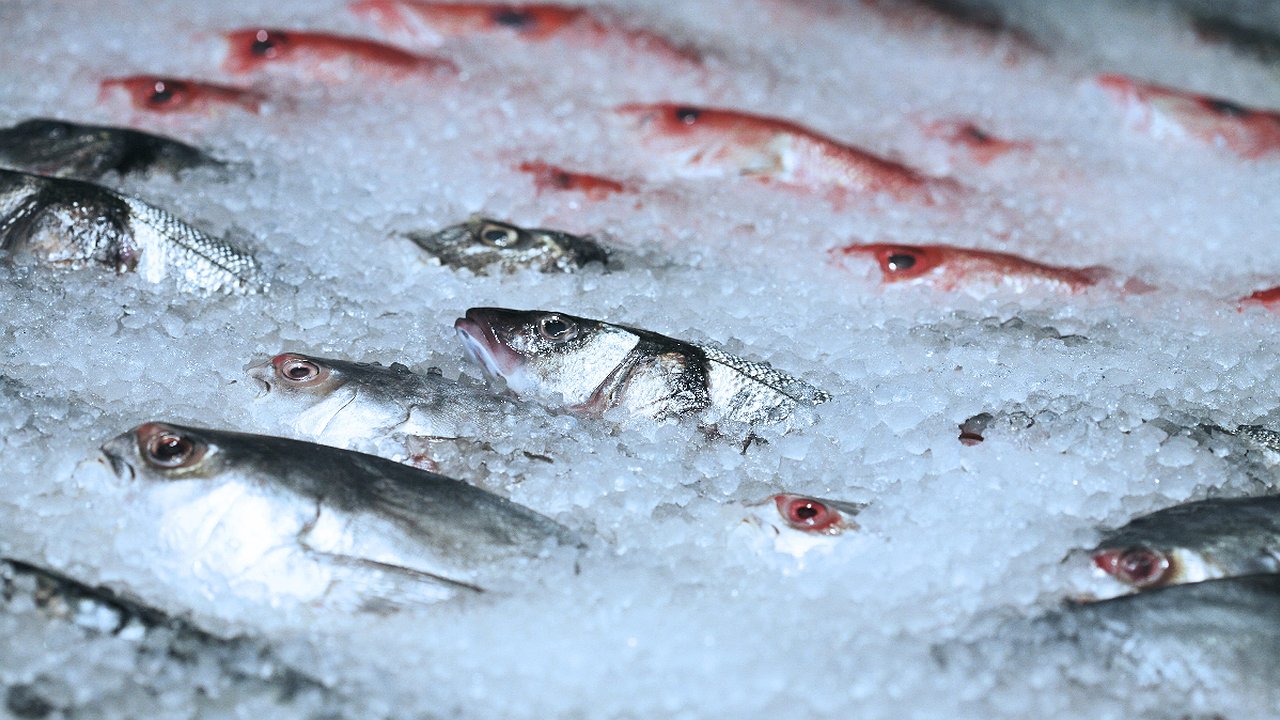 Главная картинка новости: В рыбе были обнаружены 10-метровые черви, а мы ее едим и даем детям