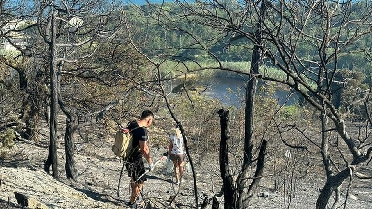 Главная картинка новости: Требуются добровольцы для тушения пожара под Новороссийском