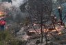 Возбуждено уголовное дело по факту лесного пожара под Новороссийсокм