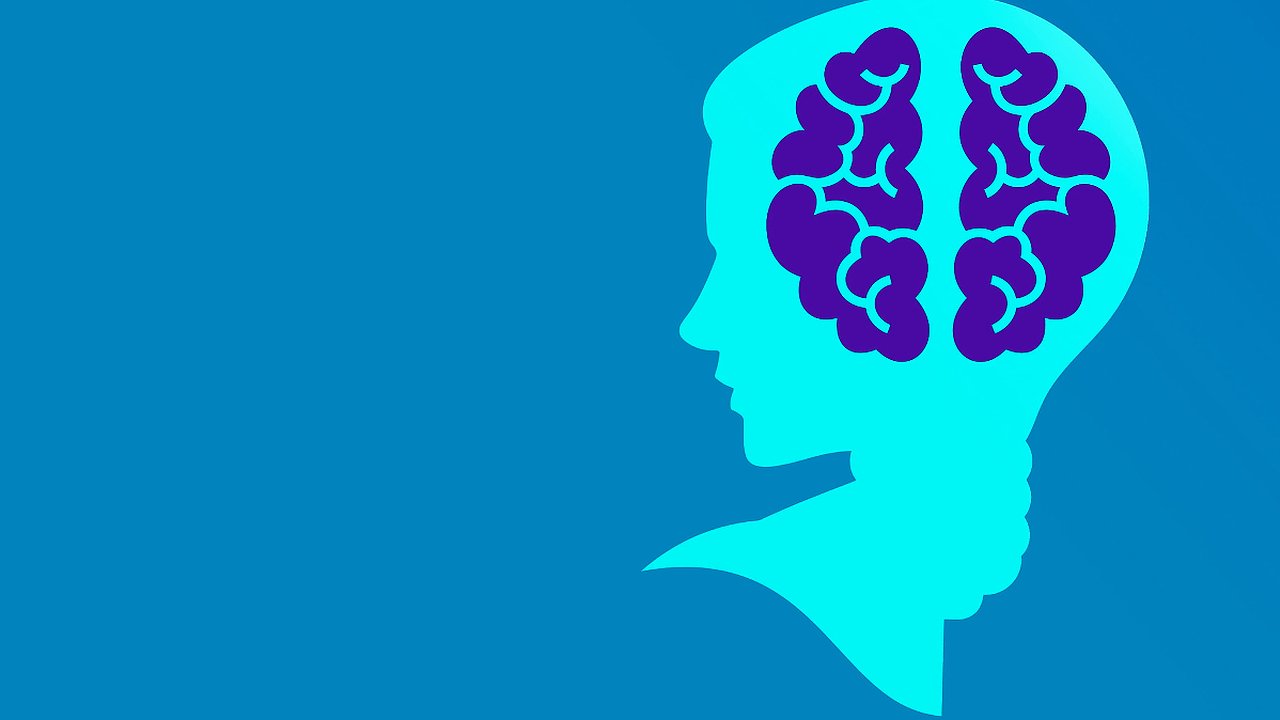 Главная картинка новости: Учеными выявлена группа крови, с которой чаще рождаются глупые люди