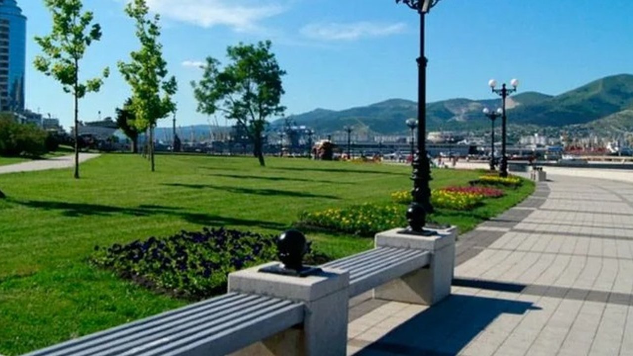 Главная картинка новости: На набережной Новороссийска появится больше тенистых мест