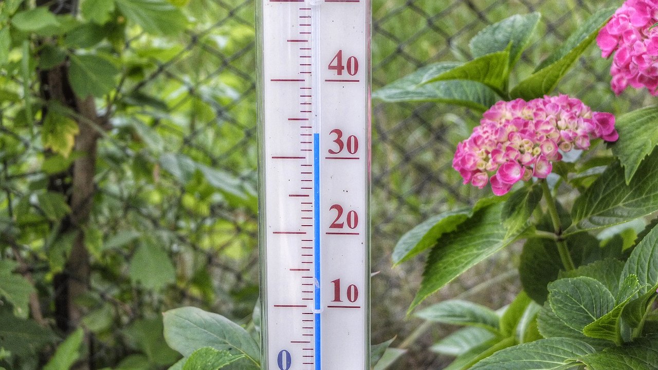 Главная картинка новости: Температура в Новороссийске начнет снижаться с сегодняшнего дня