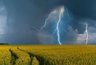 Грозовые дожди придут в Краснодарский край уже на этой неделе