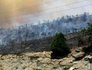 Правда о пожаре в окрестностях Новороссийска