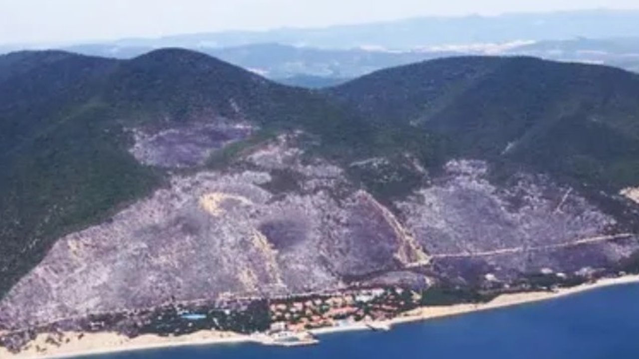 Главная картинка новости: Ущерб от пожара в Дюрсо можно будет оценить только ближе к лету 2025 года