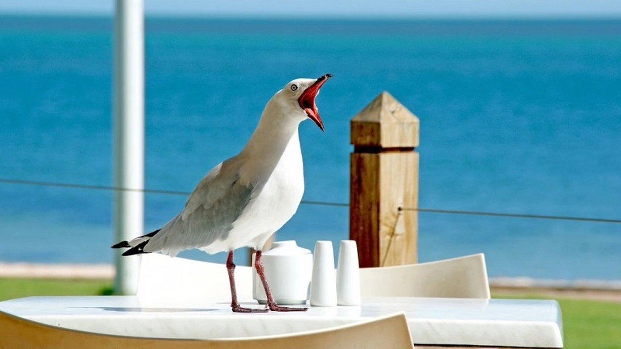 Главная картинка новости: Туристы, вернувшиеся с Черного моря, массово подают в суд