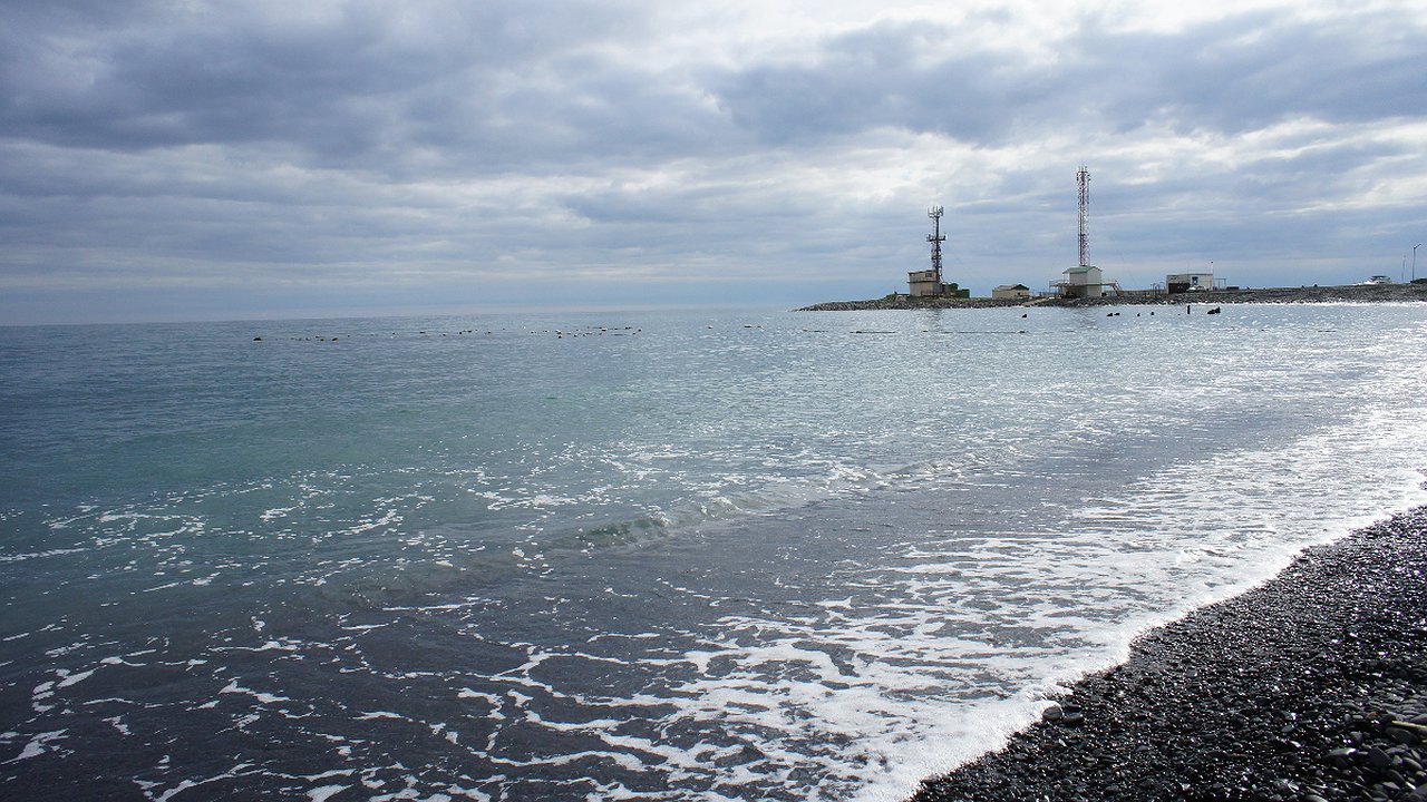 Главная картинка новости: Отдыхающие из Геленджика и Анапы массово жалуются на новую напасть