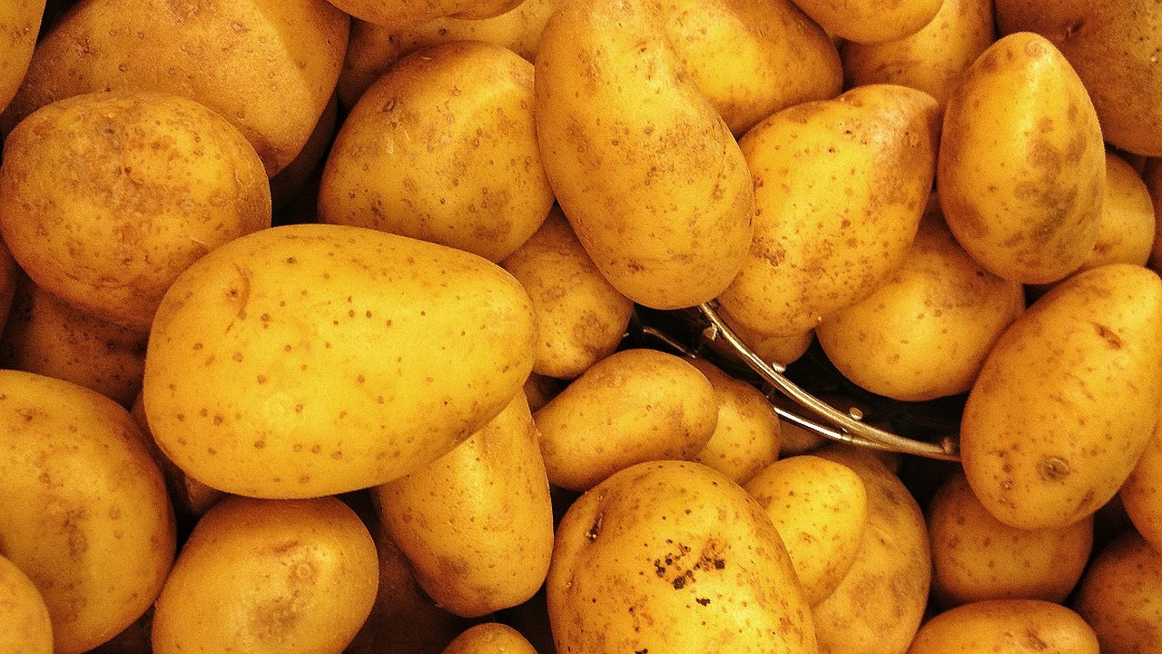 Главная картинка новости: Не капайте картошку до определенного дня и она будет хранится дольше