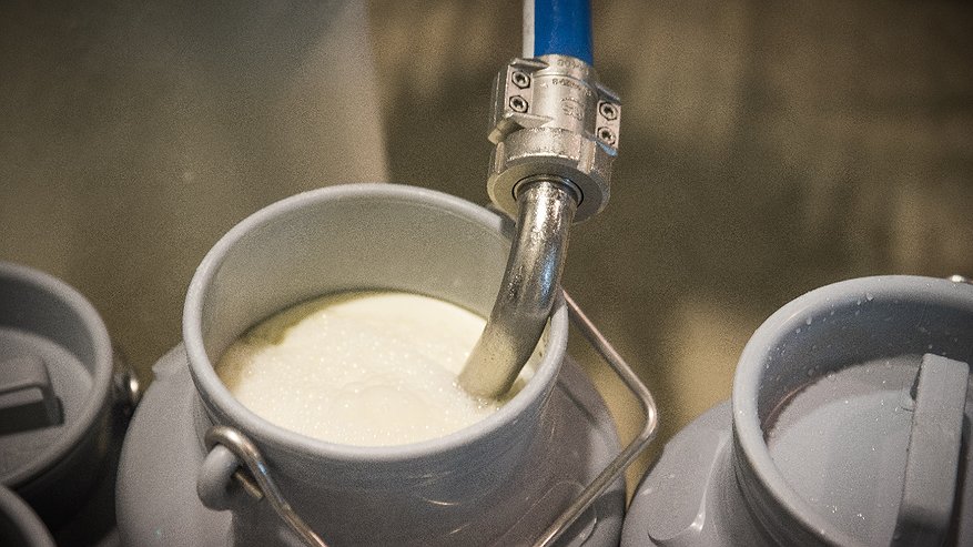 Главная картинка новости: Цены на молочную продукцию пойдут в рост с 1 сентября