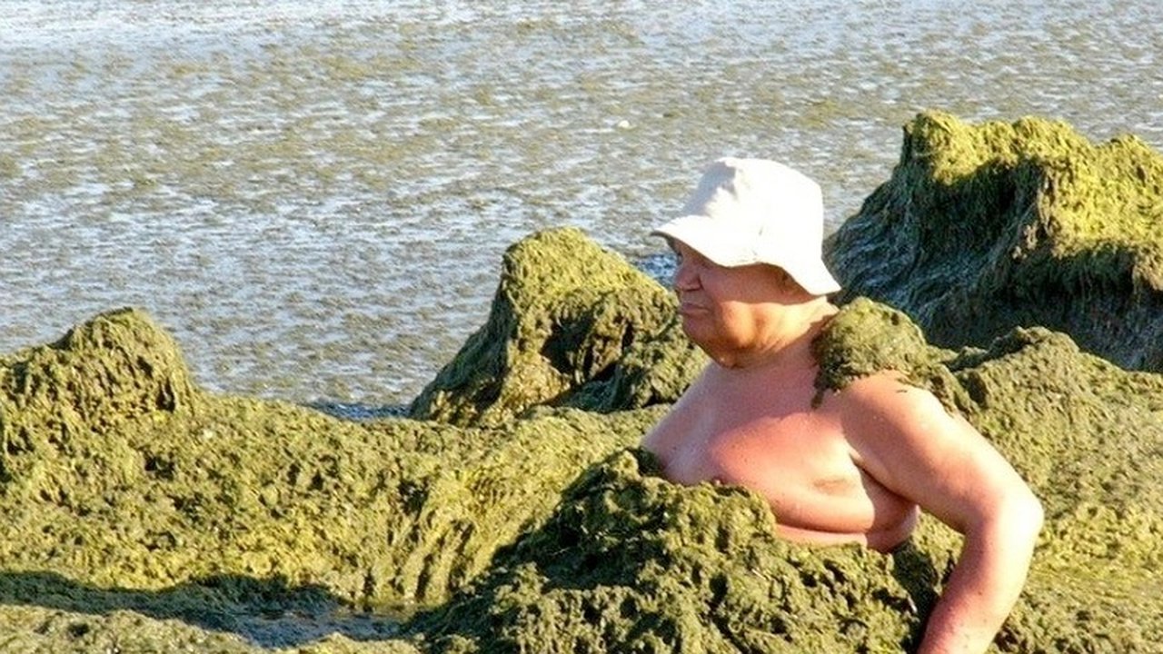 Главная картинка новости: Туристы увозят тину с пляжей Анапы в лечебных целях