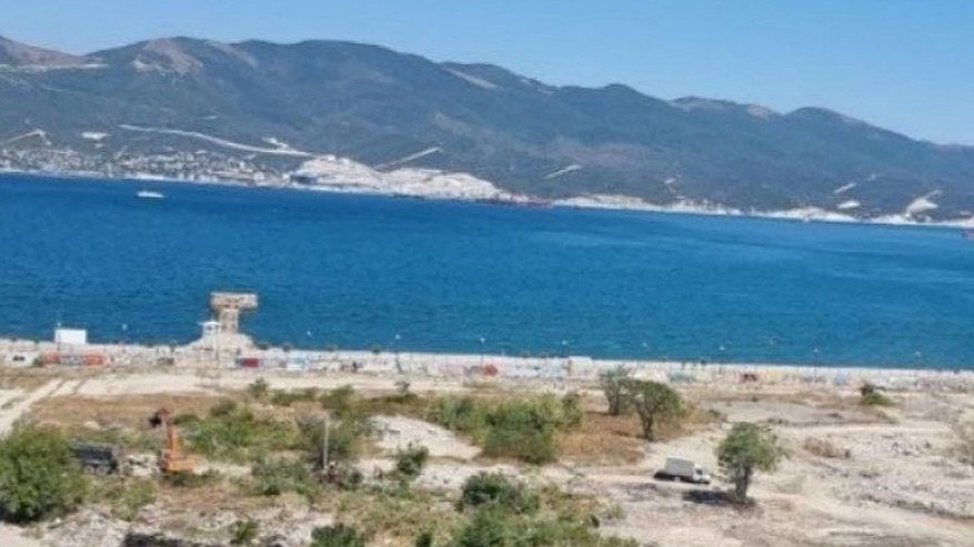 Главная картинка новости: В Новороссийске на территории бывшего рыбзавода рубят деревья