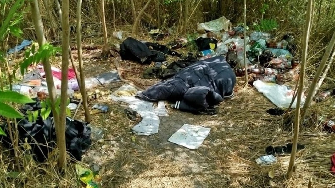 Главная картинка новости: Прилагунье в Новороссийске превратилась в логово бездомных, а дендропарк утонул в мусоре