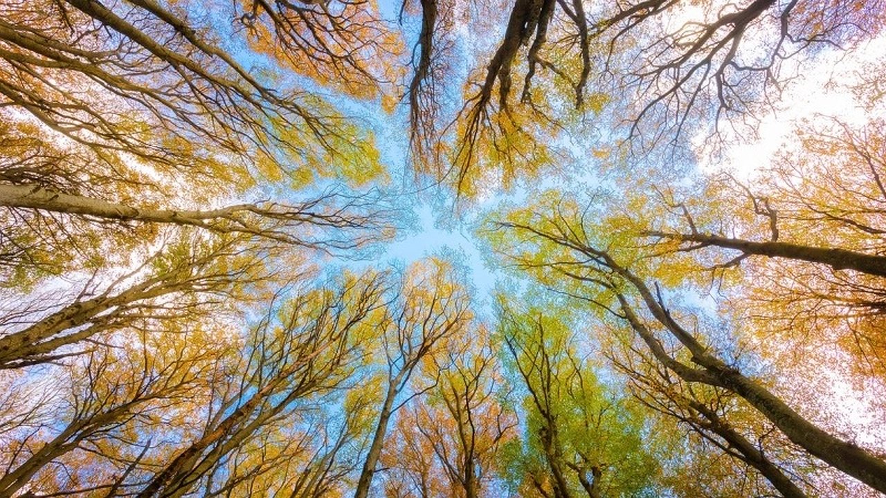 Главная картинка новости: Синоптики рассказали о погоде на Кубани в начале осени