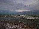 В Черном море нашли новый вид токсичных водорослей