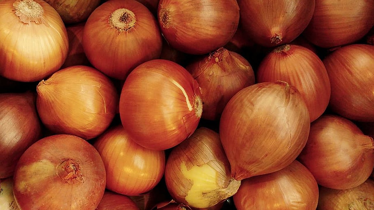 Главная картинка новости: Лук сажаем под зиму только так: он не будет болеть и даст больше урожая