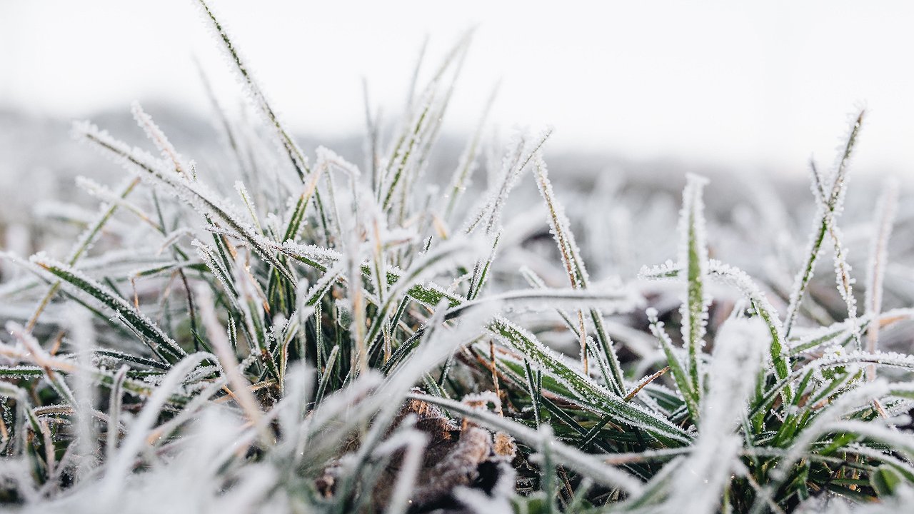 Главная картинка новости: Синоптики резко изменили прогноз погоды на осень