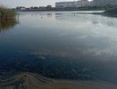 Суджукская лагуна в Новороссийске покрылась грязной пленкой