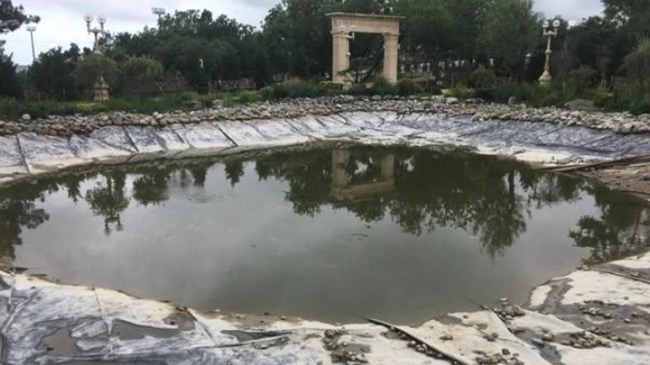 Главная картинка новости: В Андреевском парке в Геленджике черепахи «варятся» в пересохшем озере