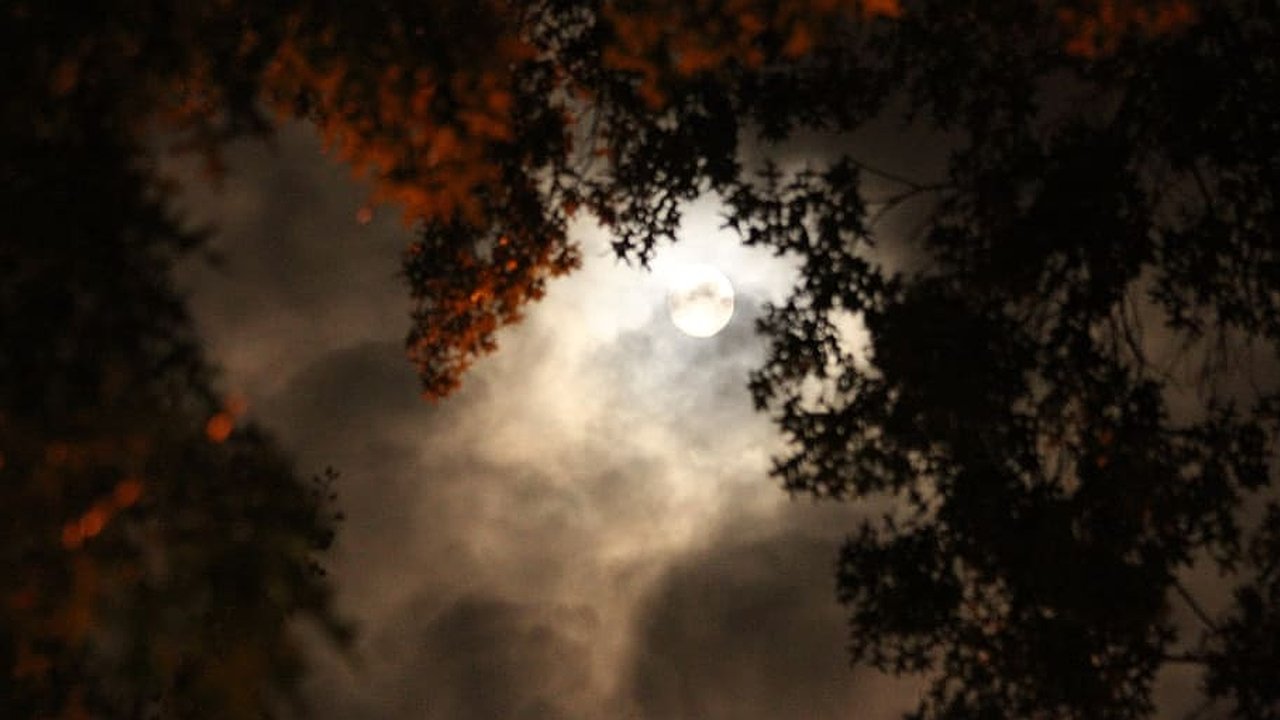 Главная картинка новости: Сентябрь и октябрь будут аномальными: синоптики все объяснили