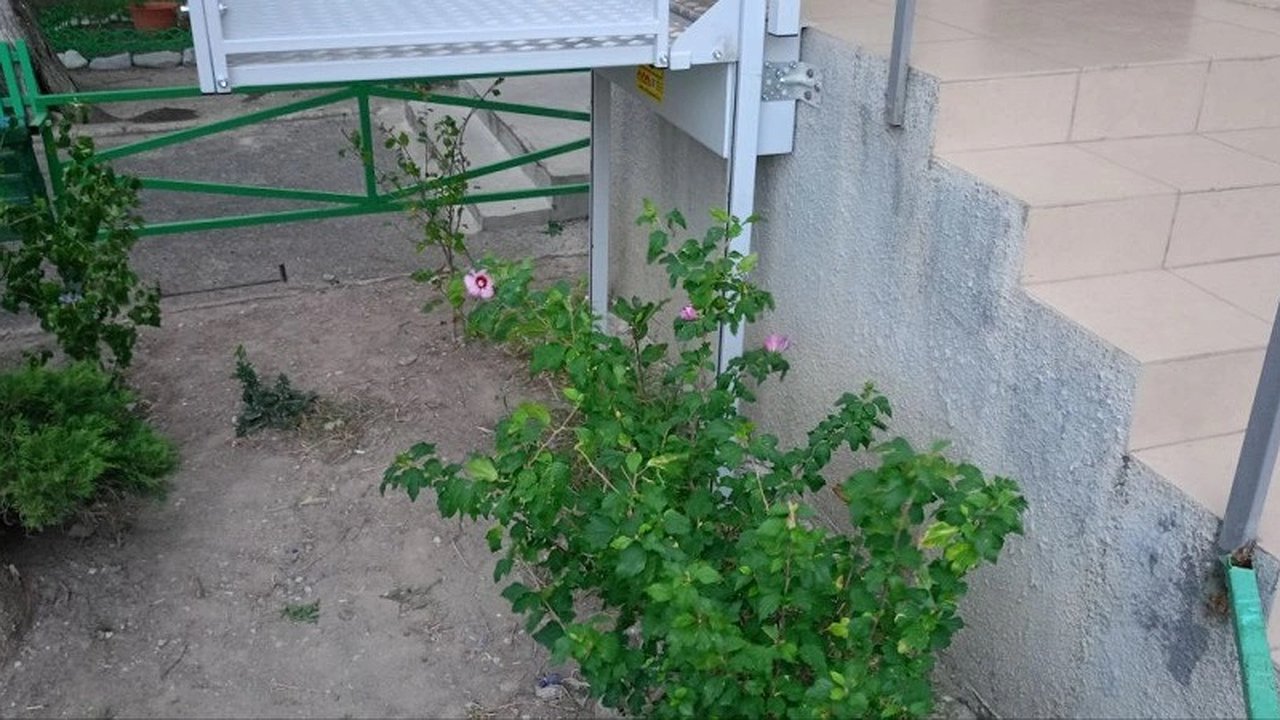 Главная картинка новости: В Новороссийске рабочие вытоптали палисадник пенсионерки, уход за которым осуществлялся годами
