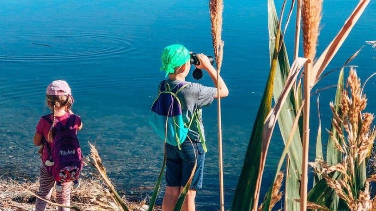 Главная картинка новости: Школьники из Новороссийска приняли участие в международной акции «Евразийский учет птиц»