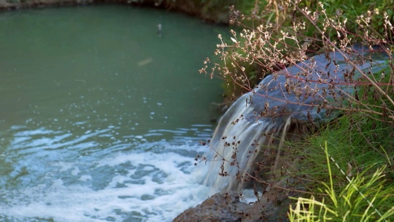 Главная картинка новости: Жители села пожаловались на сброс сточных вод в реку