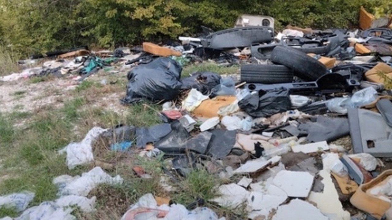 Главная картинка новости: Жители Новороссийска жалуются на свалки в лесах