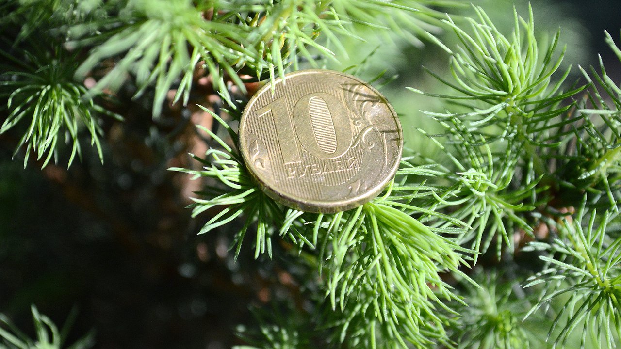 Главная картинка новости: Изменения в индексации пенсии с 1 января 2025 года