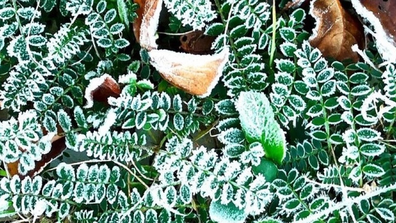 Главная картинка новости: На Новоросссийск потихоньку опускается зима