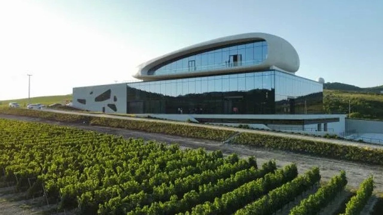 Главная картинка новости: В Анапе запустят «Винобус» с караоке