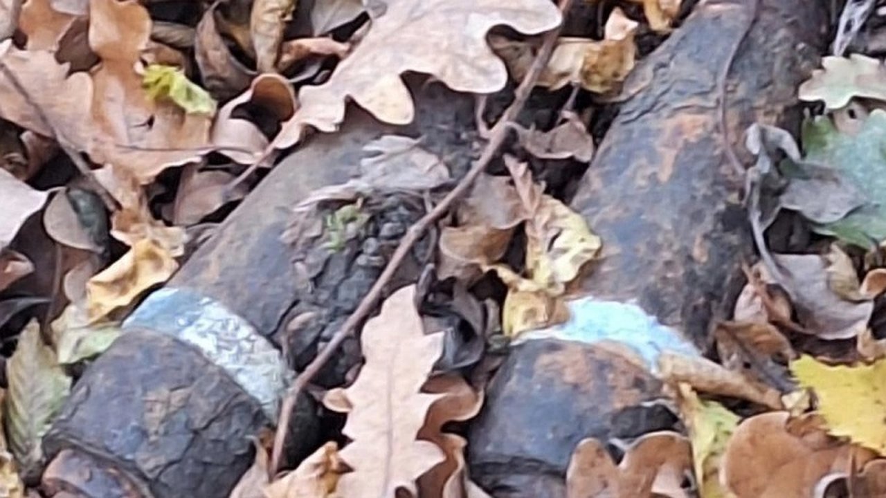 Главная картинка новости: Жителями Новороссийска снова были обнаружены артиллерийские боеприпасы