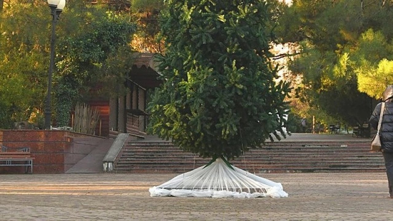 Главная картинка новости: В Ленинском парке Новороссийска установили первую новогоднюю елку