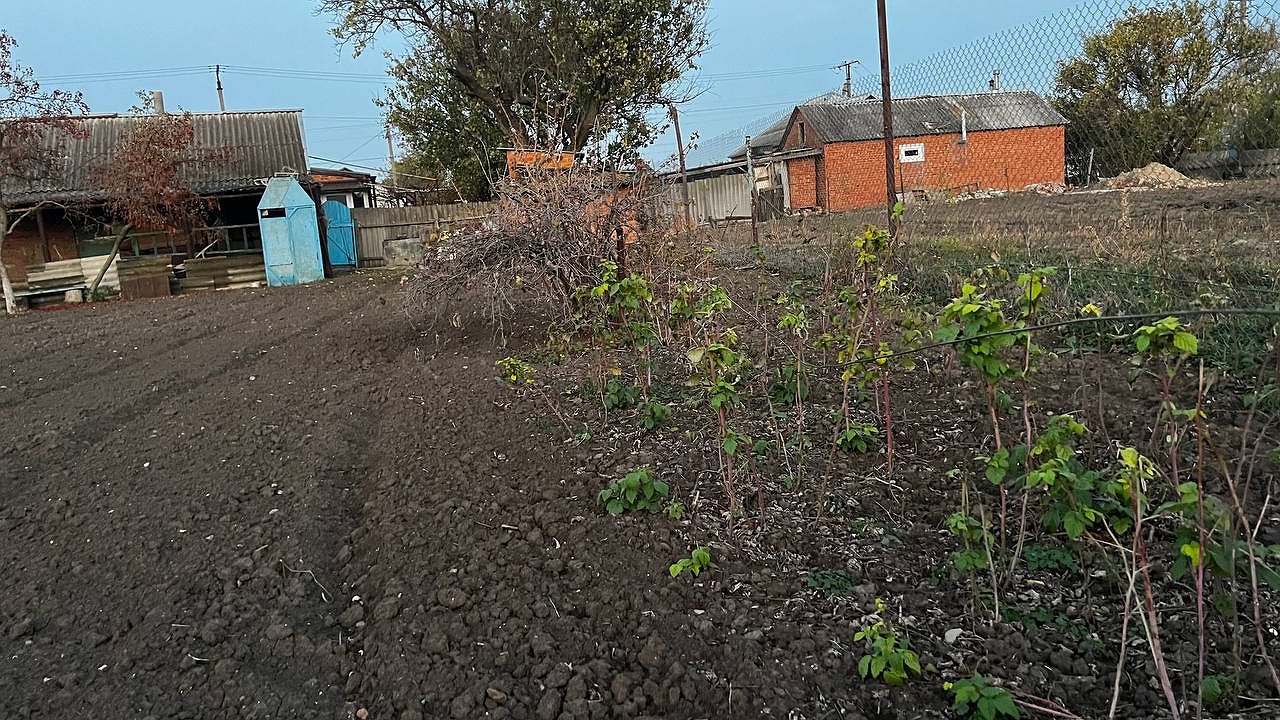 Главная картинка новости: Лишатся земли: всем, у кого участок в собственности - вводится новое жесткое правило с 1 декабря