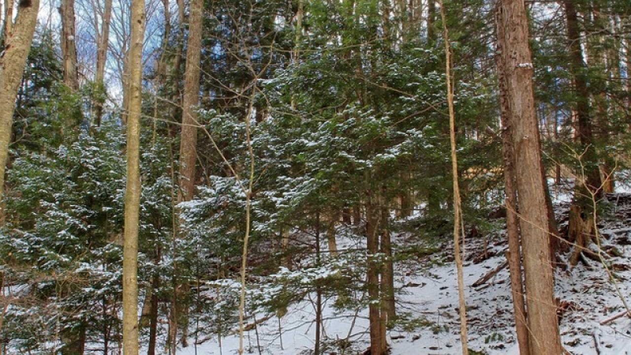 Главная картинка новости: Снегопады в высокогорье Кубани: прогноз на ближайшие выходные дни