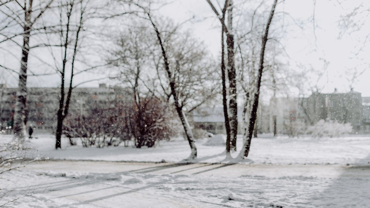 Главная картинка новости: Прогноз погоды на зиму 2024-2025 в Краснодарском крае: что ожидает жителей региона