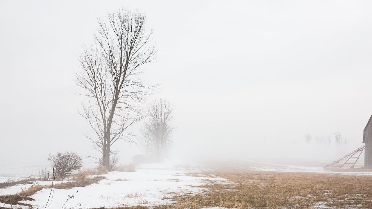 Главная картинка новости: Прогноз погоды на декабрь 2024: аномально тёплая зима по всей России