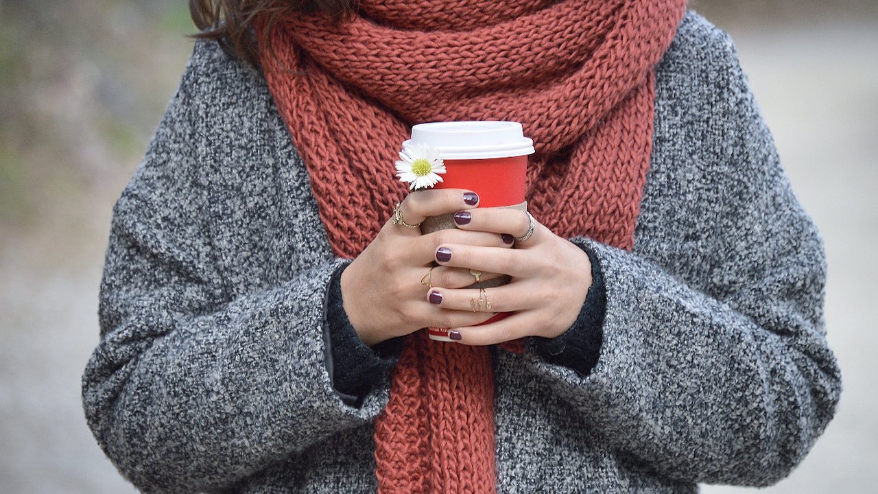 Главная картинка новости: Зима в Краснодарском крае: мягкие температуры и ветреная погода