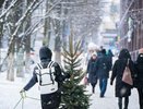 Аномальная жара +7°C ударит уже в январе: синоптики сообщили о сюрпризах, которые ждут зимой 2024