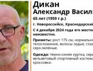 В Новороссийске пропал 65-летний мужчина: волонтеры «Лиза Алерт» начали поиски