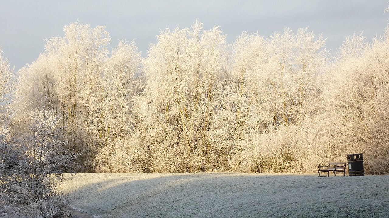 Главная картинка новости: Прогноз погоды в Краснодарском крае на зиму 2024-2025: что ожидает жителей региона