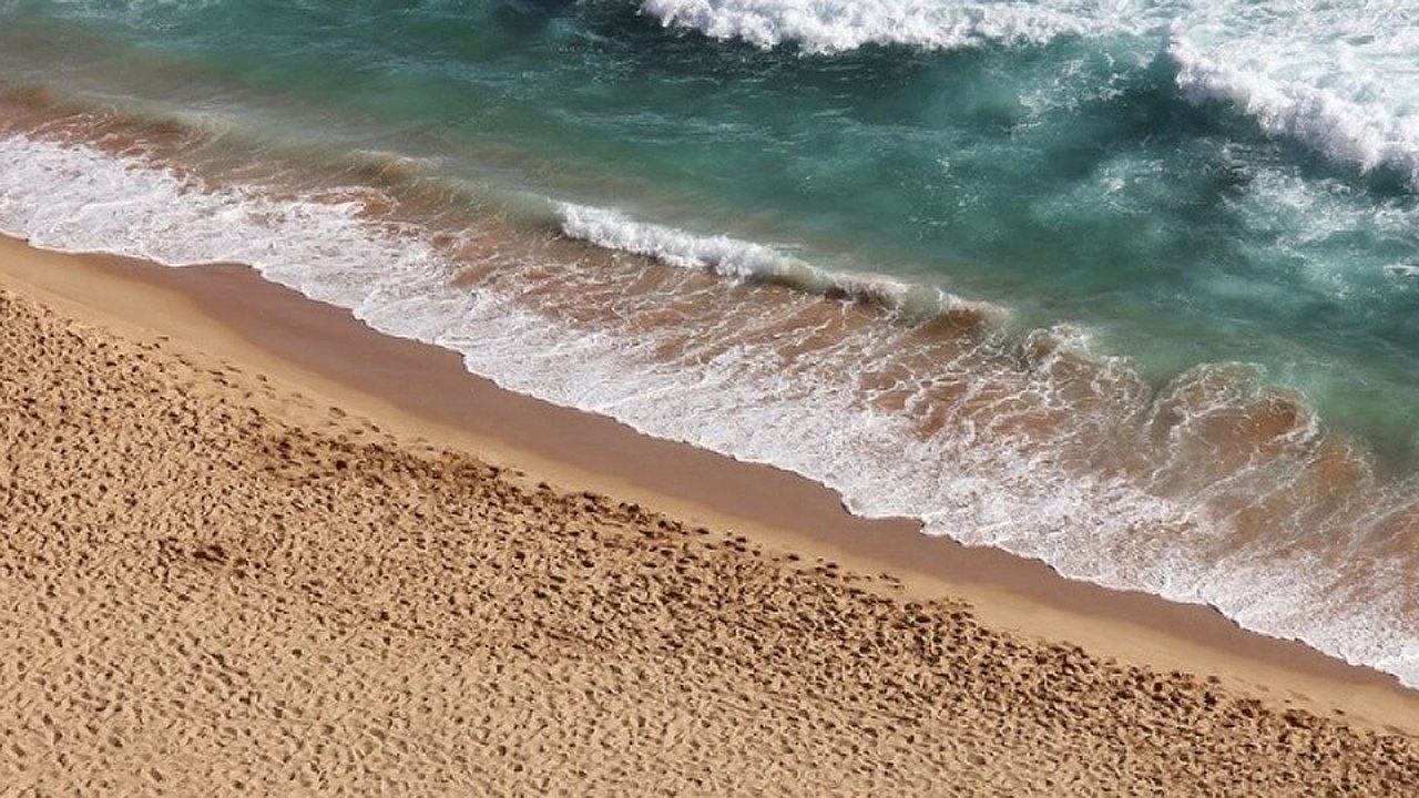 Главная картинка новости: Ученые предупреждают о потенциальной опасности на пляжах: будьте осторожны